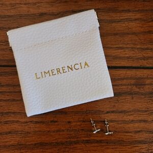 Limerencia Hypoallergenic Silver Titanium Bow Stud Earrings
